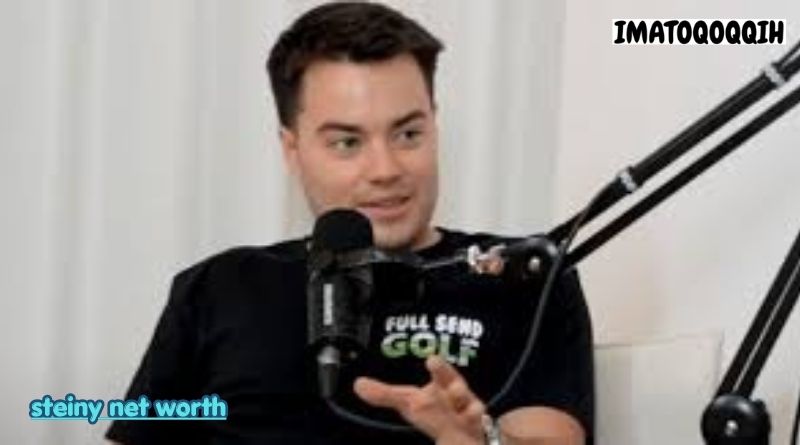 steiny net worth